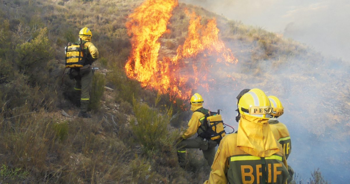 Bomberos Forestales Y La Seguridad Contra Incendios Forestales