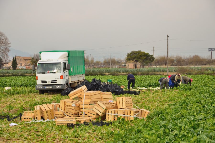 Explotaciones agrícolas COVID-19.